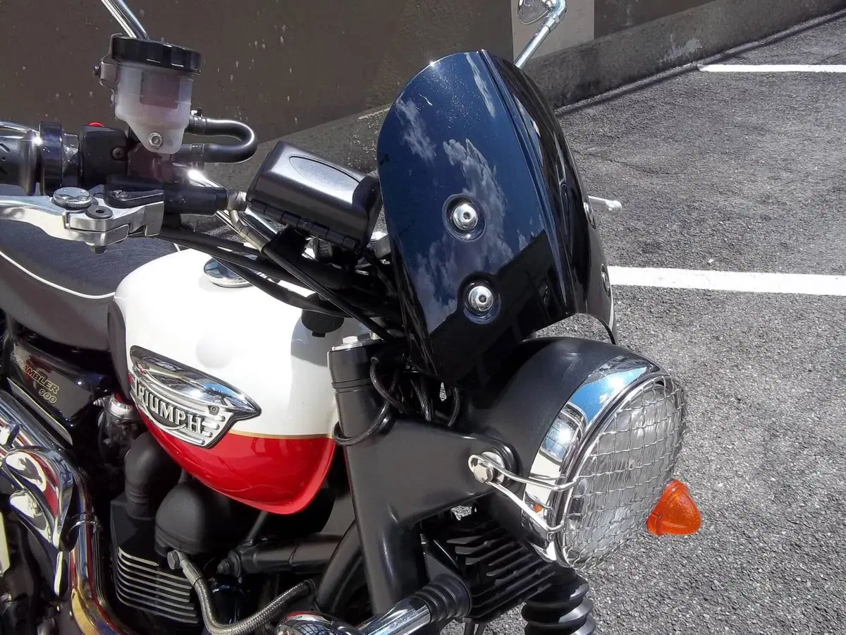 Triumph Scrambler (2006 - 17) (8)