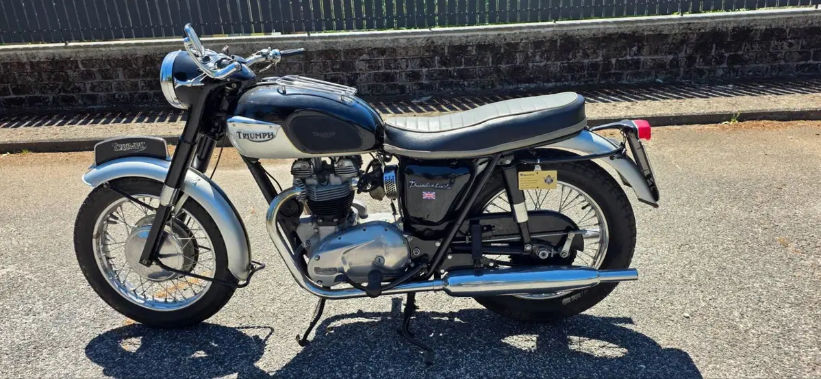 Triumph Triumph Thunderbird 650 6T/DU