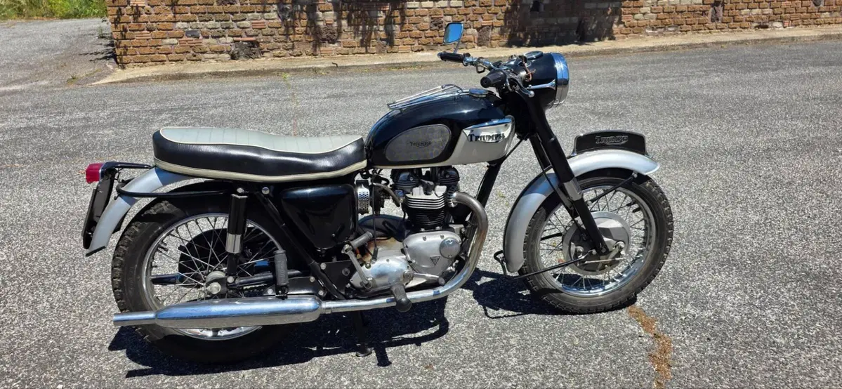 Triumph Triumph Thunderbird 650 6T/DU (2)