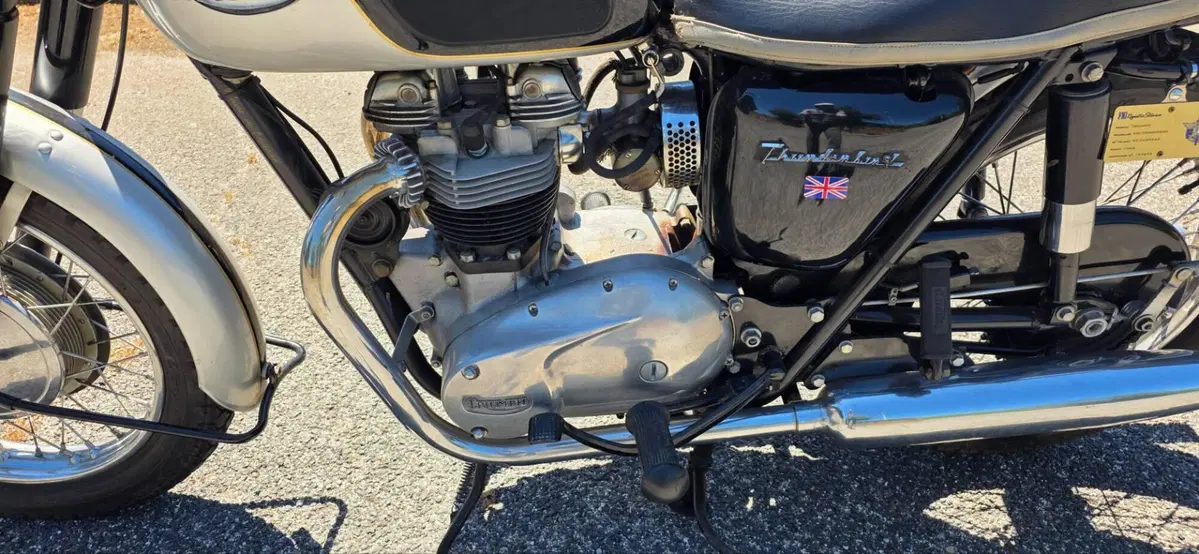 Triumph Triumph Thunderbird 650 6T/DU (7)