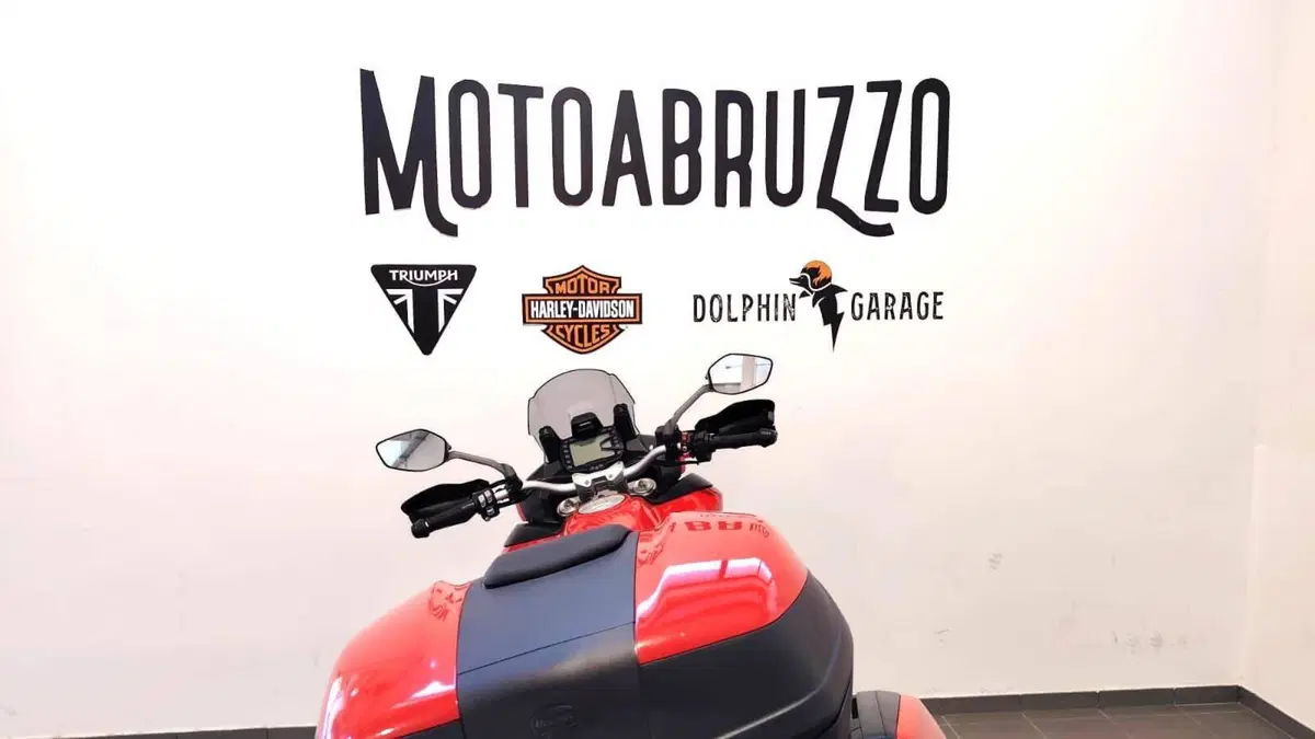 Ducati Multistrada 950 (2018) (12)