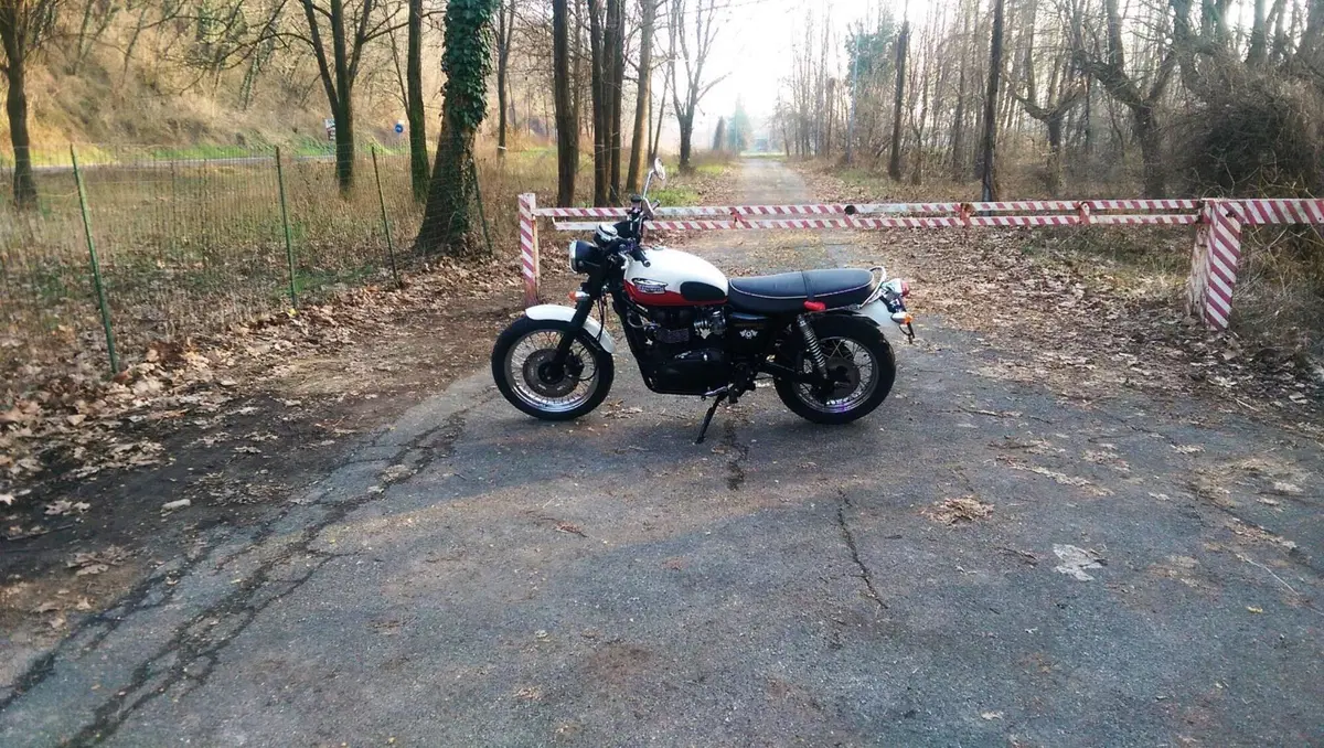 Triumph Scrambler (2006 - 17) (12)