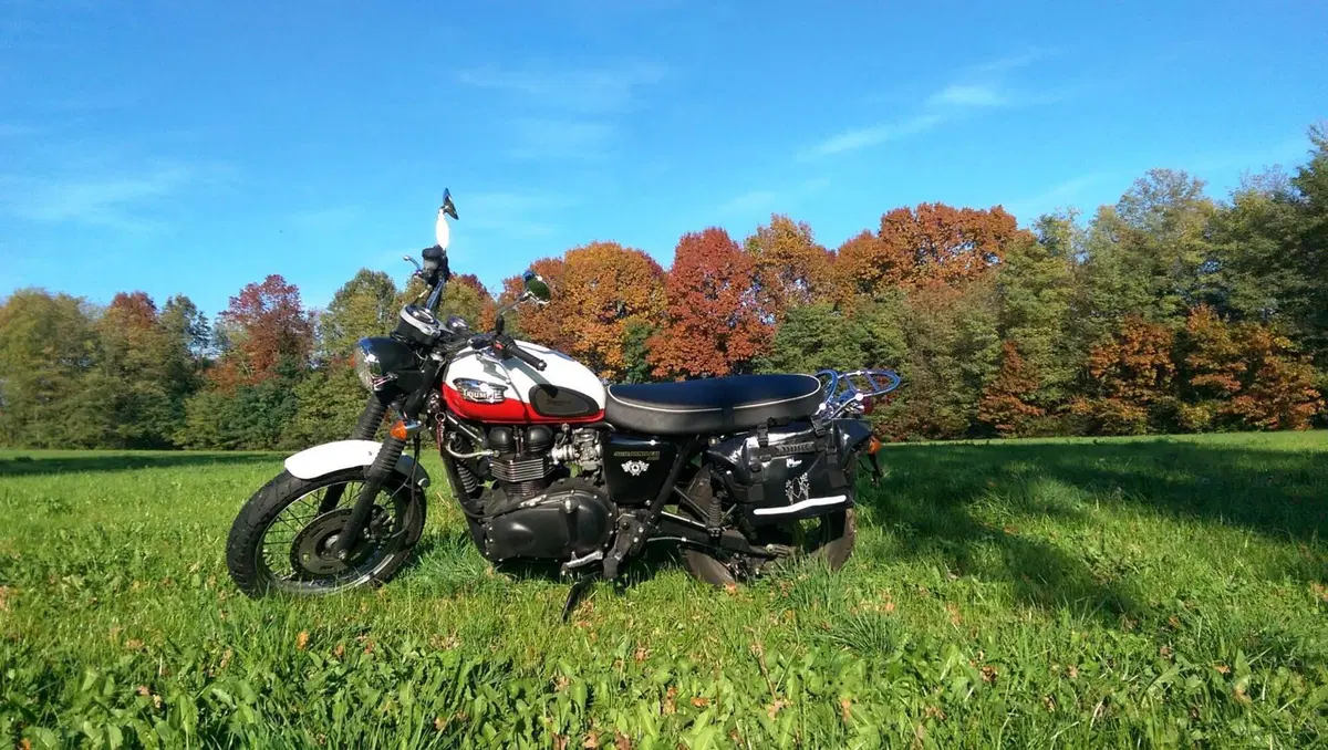 Triumph Scrambler (2006 - 17) (13)