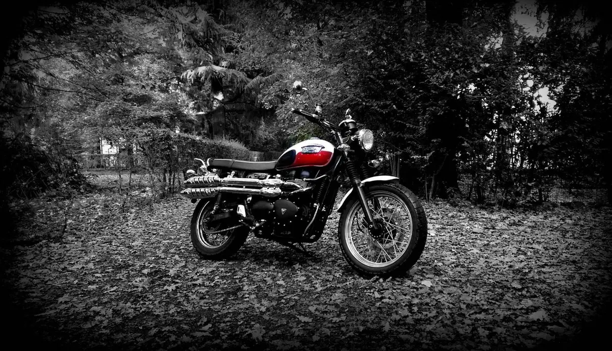 Triumph Scrambler (2006 - 17) (15)
