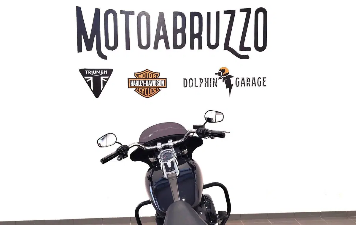 Harley-Davidson Sport Glide (2021 - 25) (12)