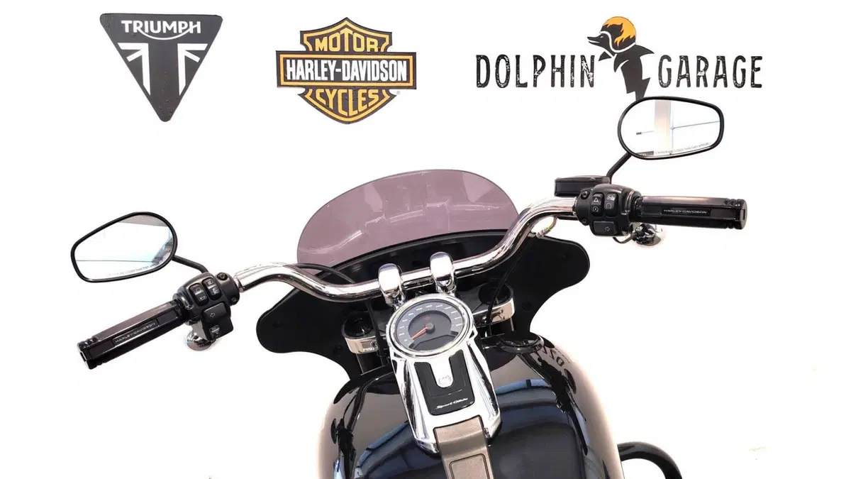 Harley-Davidson Sport Glide (2021 - 25) (13)