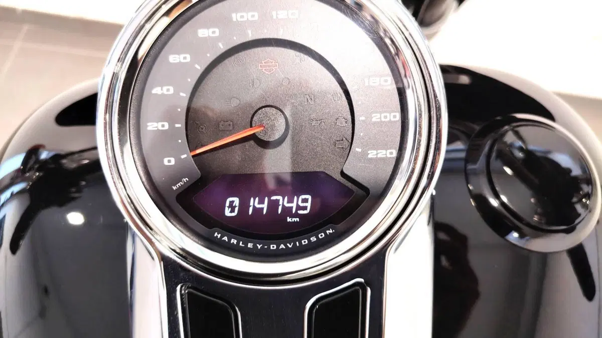 Harley-Davidson Sport Glide (2021 - 25) (14)