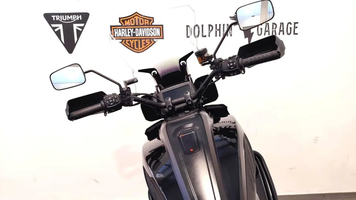 Harley-Davidson Pan America 1250 Special (2020 - 25) (13)