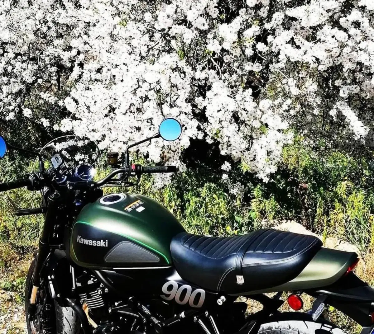 Kawasaki Z 900 RS (2018 - 20) (9)