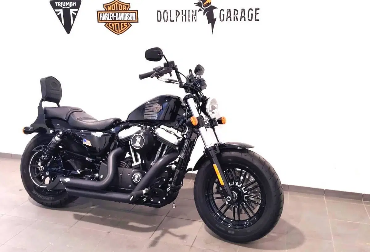 Harley-Davidson 1200 Forty-Eight (2016 - 20) (4)