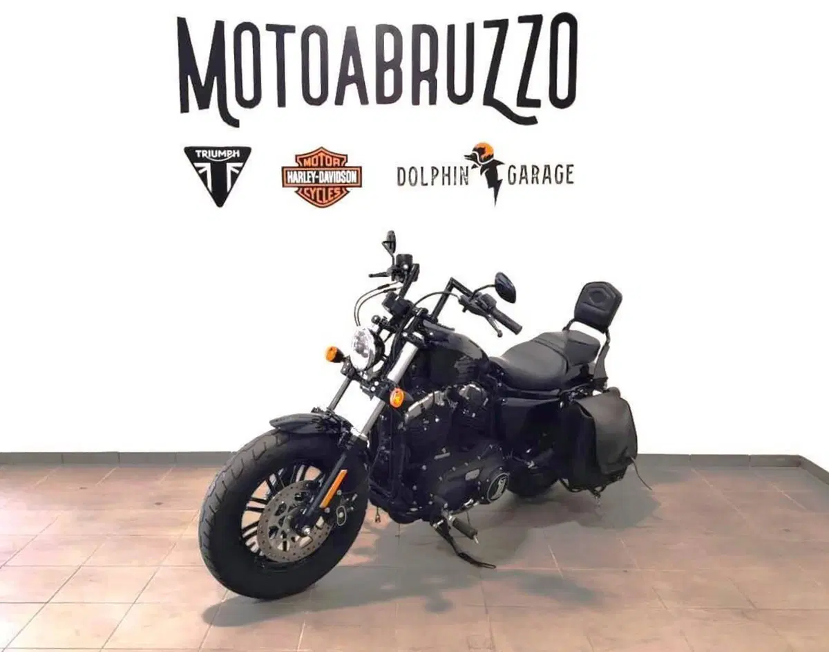 Harley-Davidson 1200 Forty-Eight (2016 - 20) (6)
