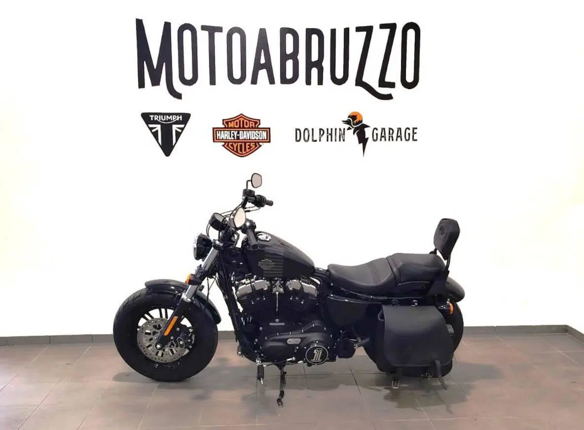 Harley-Davidson 1200 Forty-Eight (2016 - 20) (7)
