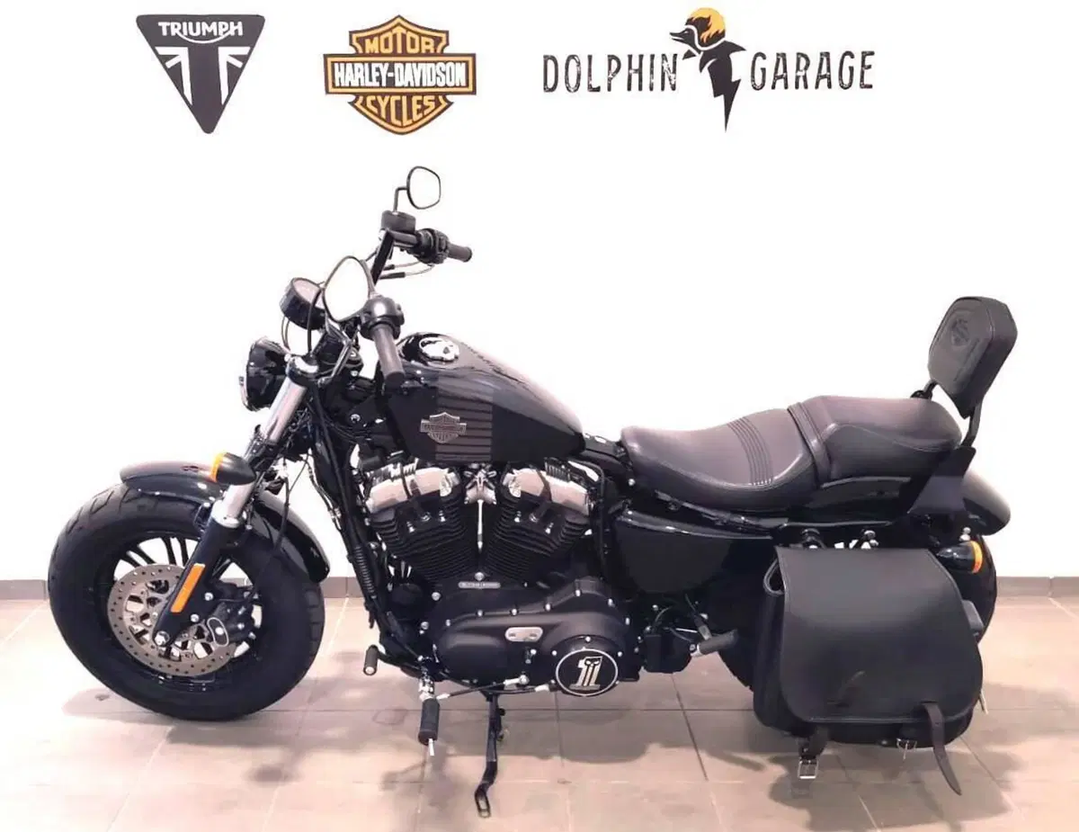 Harley-Davidson 1200 Forty-Eight (2016 - 20) (8)