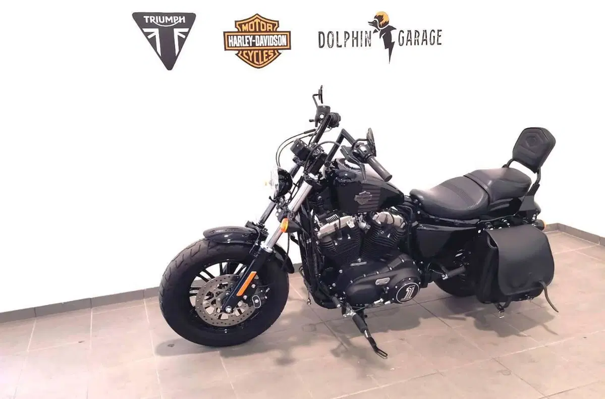 Harley-Davidson 1200 Forty-Eight (2016 - 20) (9)
