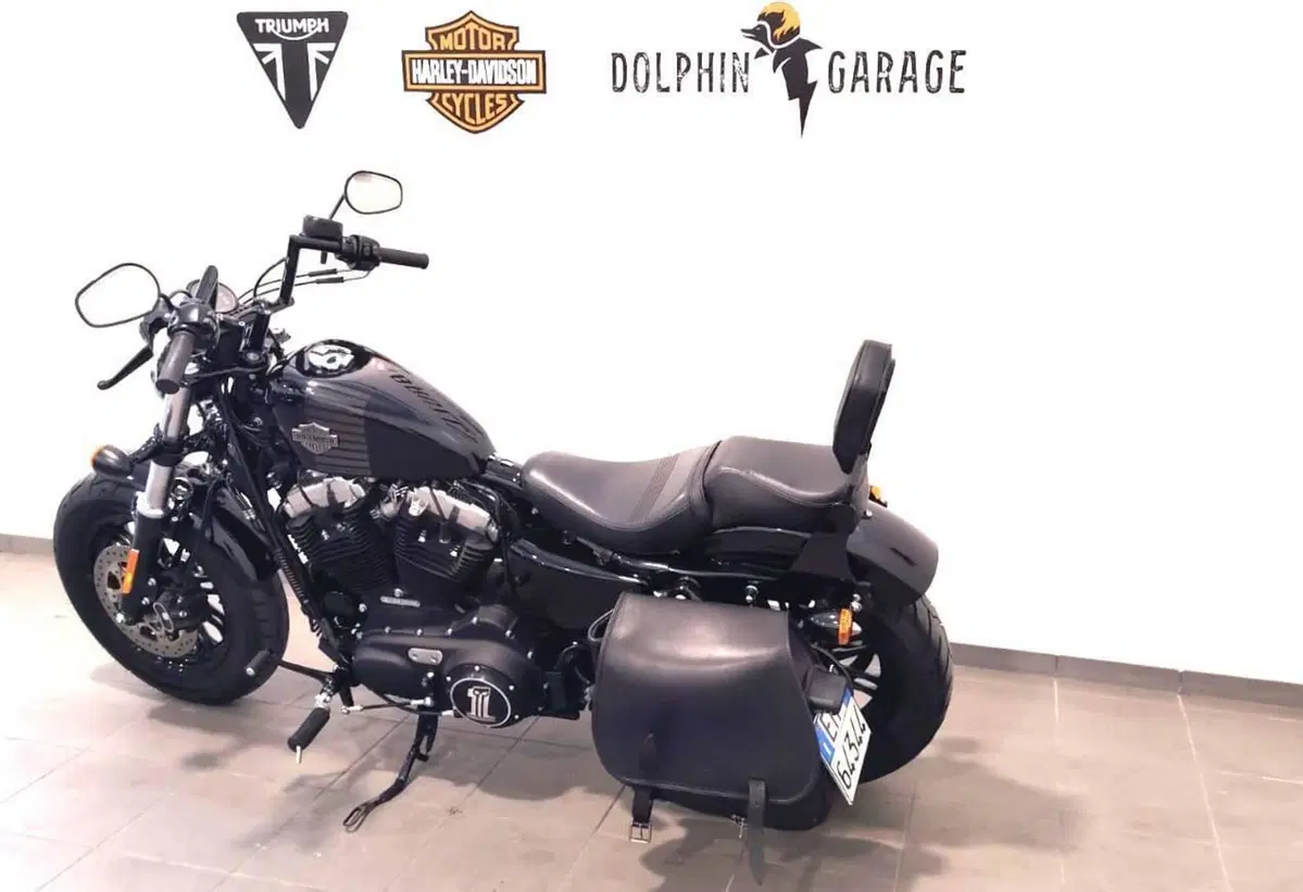 Harley-Davidson 1200 Forty-Eight (2016 - 20) (10)