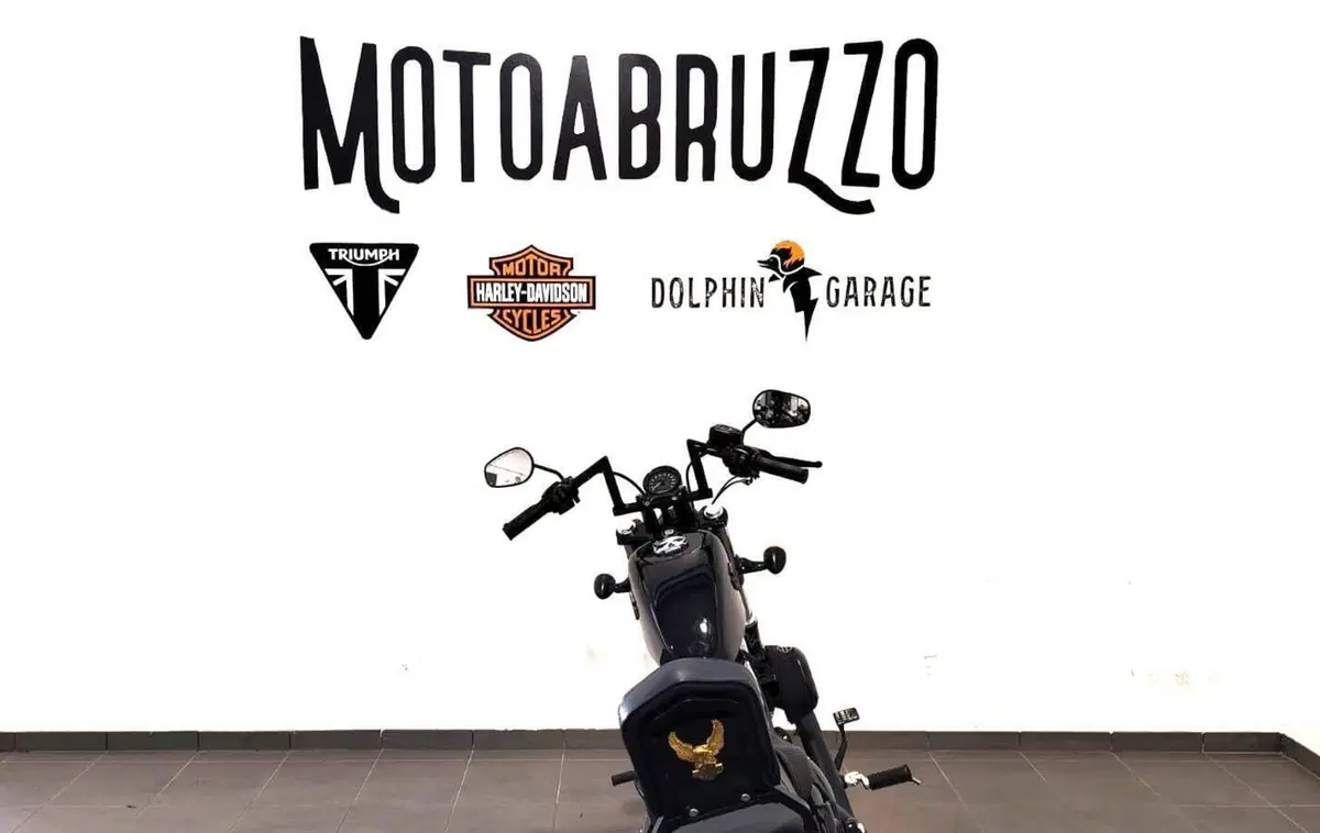 Harley-Davidson 1200 Forty-Eight (2016 - 20) (12)