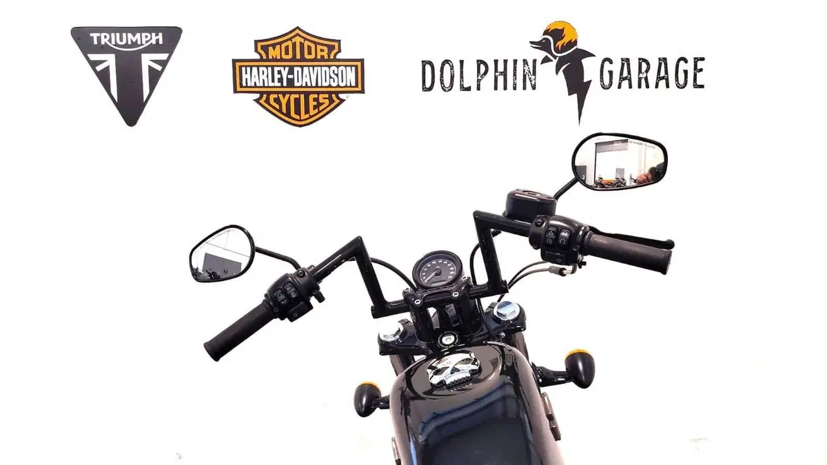 Harley-Davidson 1200 Forty-Eight (2016 - 20) (13)