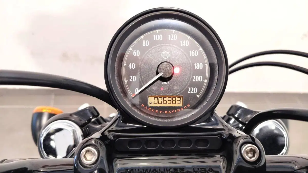 Harley-Davidson 1200 Forty-Eight (2016 - 20) (14)