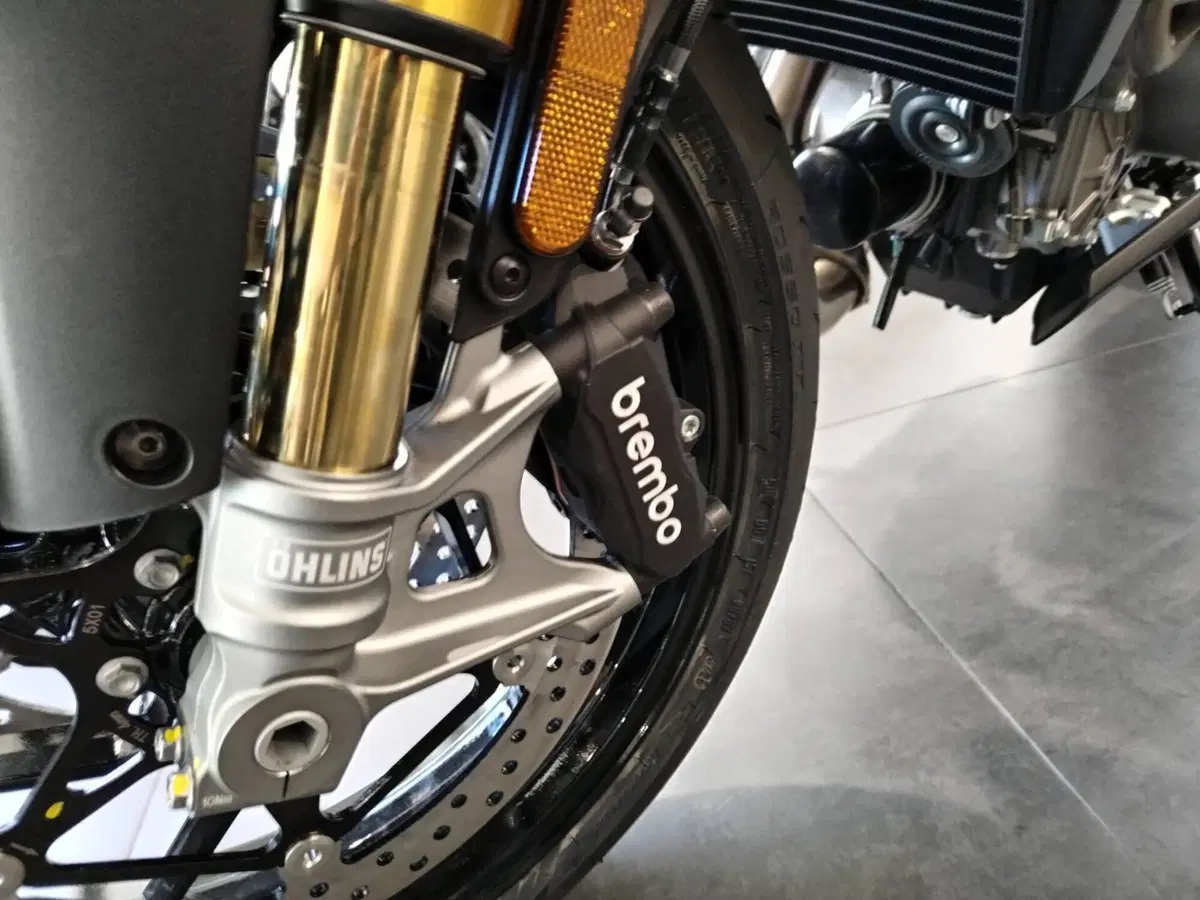 Aprilia Tuono 660 Factory (2025 - 26) (6)