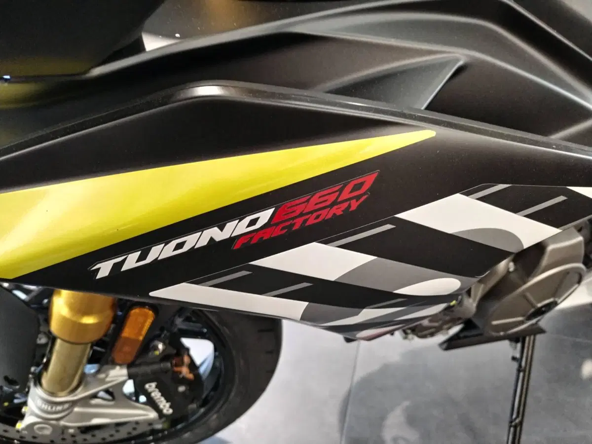 Aprilia Tuono 660 Factory (2025 - 26) (7)