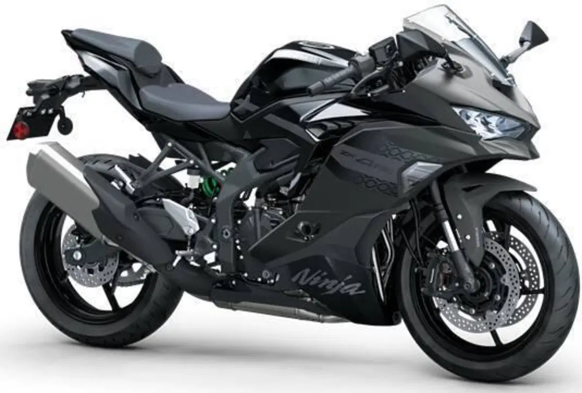 Kawasaki Ninja ZX-4RR (2024 - 26) (2)