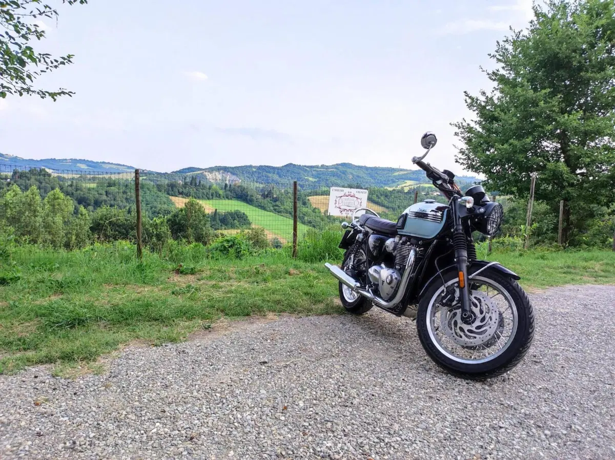 Triumph Bonneville T120 Chrome Edition (2023) (2)