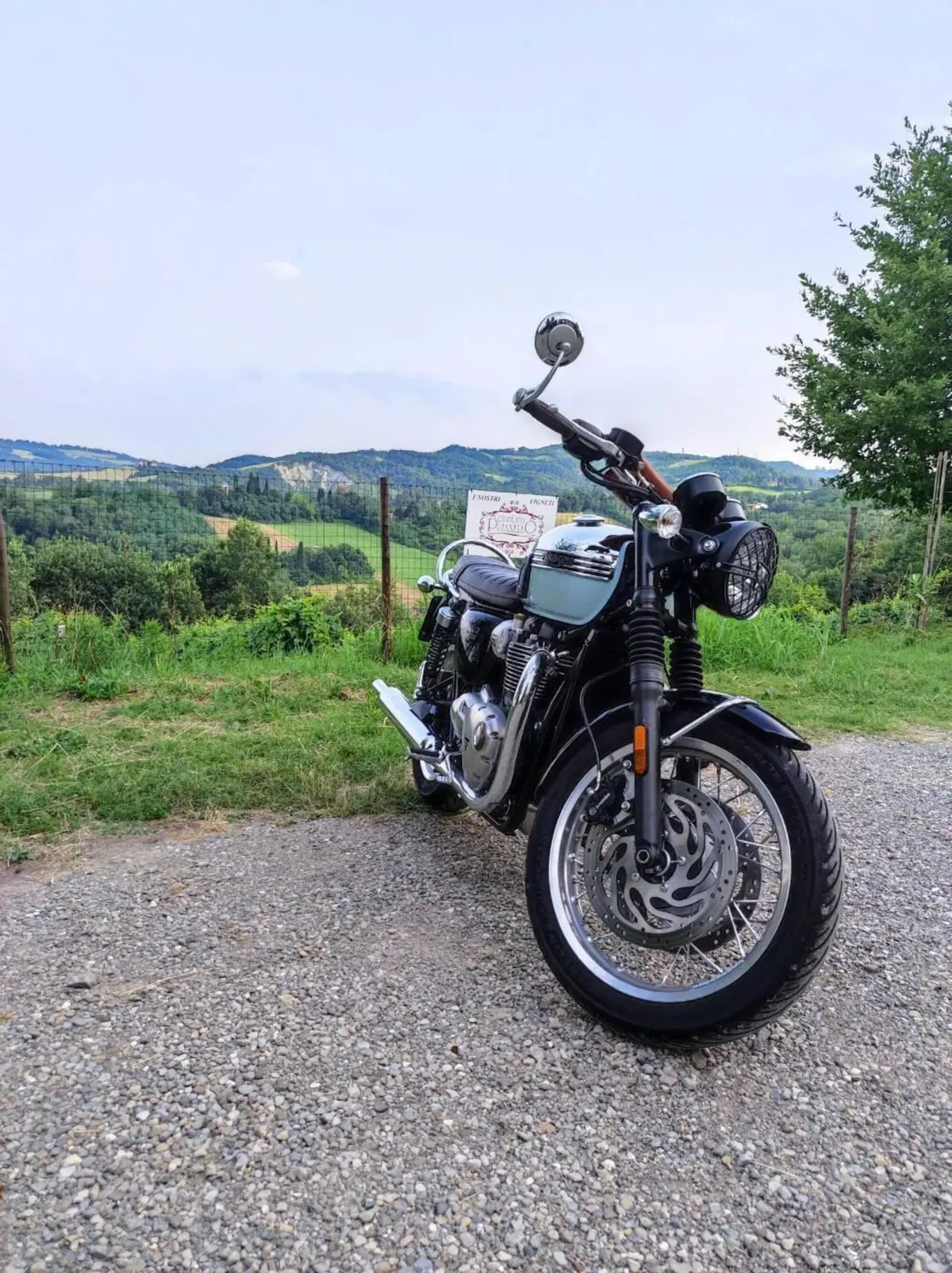 Triumph Bonneville T120 Chrome Edition (2023) (5)