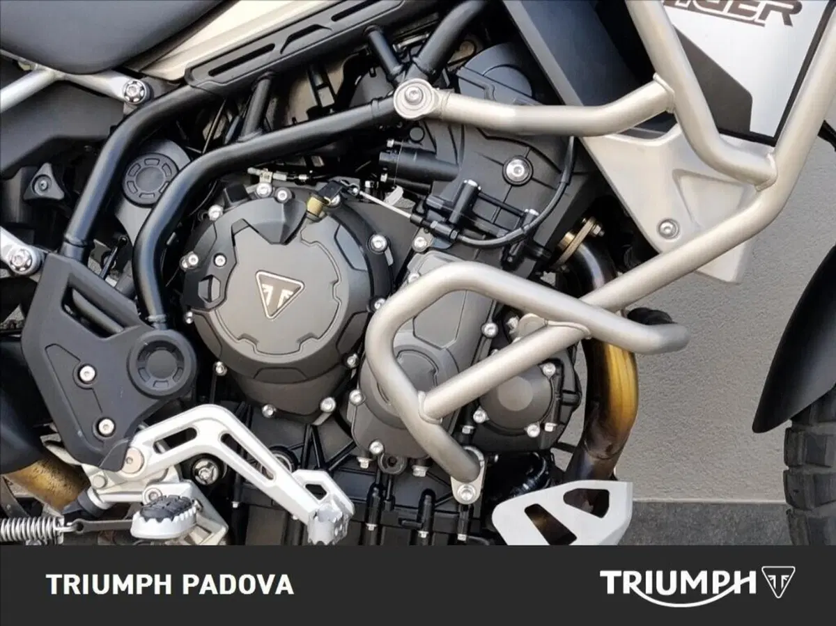 Triumph Tiger 900 Rally Pro (2020 - 23) (3)