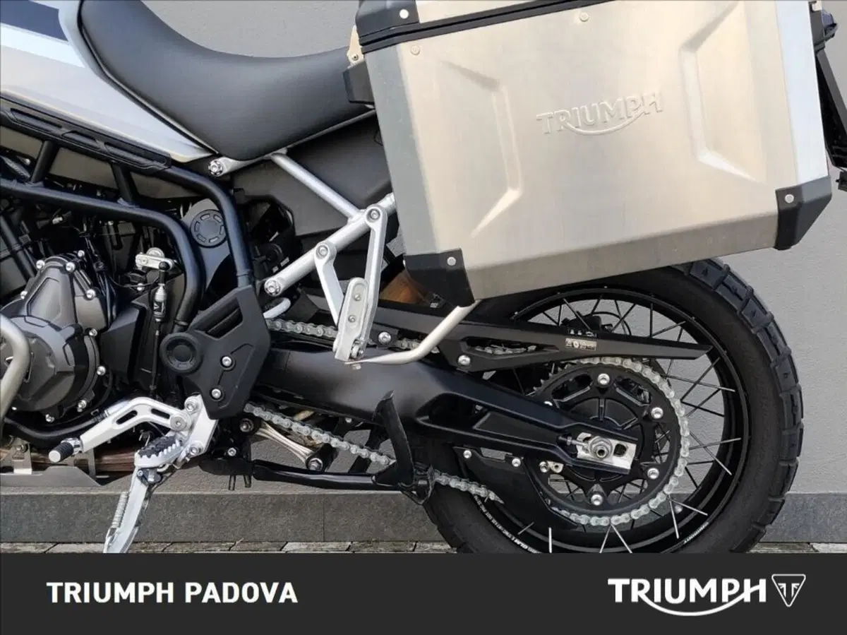 Triumph Tiger 900 Rally Pro (2020 - 23) (7)