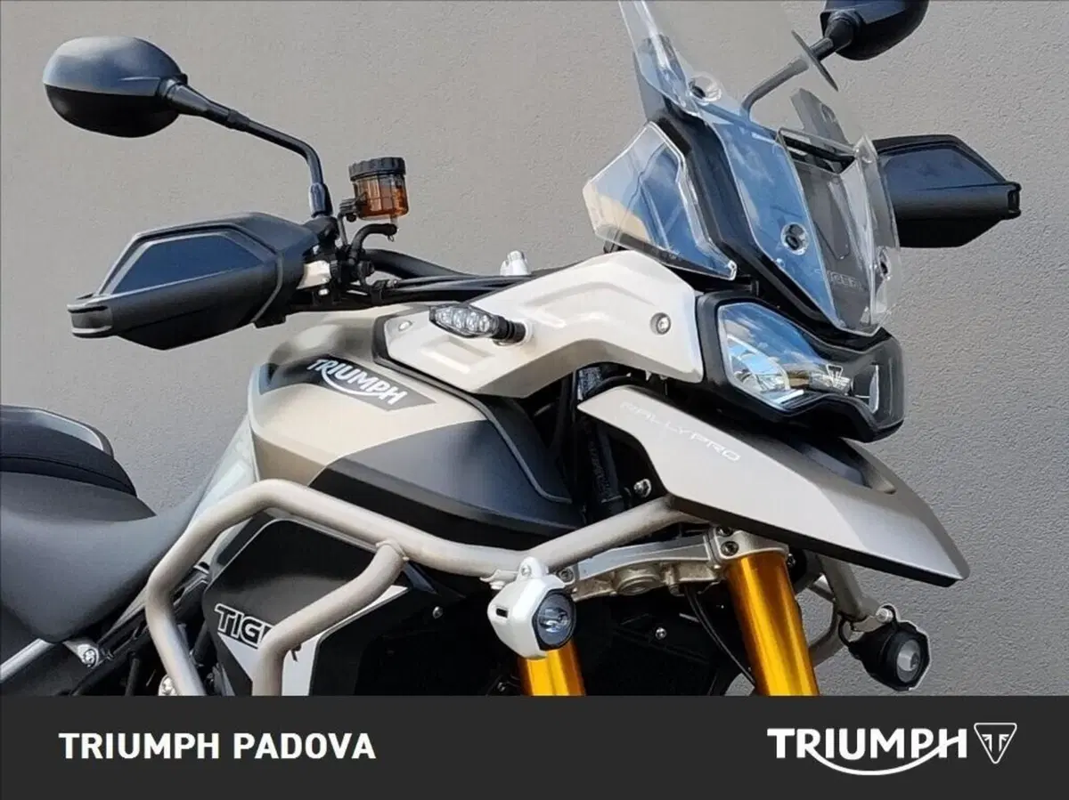 Triumph Tiger 900 Rally Pro (2020 - 23) (5)