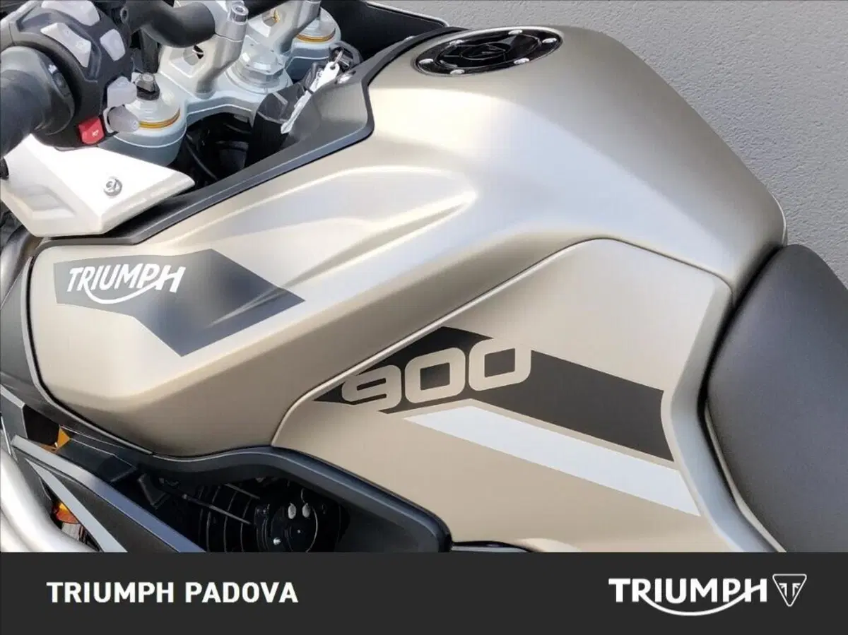 Triumph Tiger 900 Rally Pro (2020 - 23) (9)