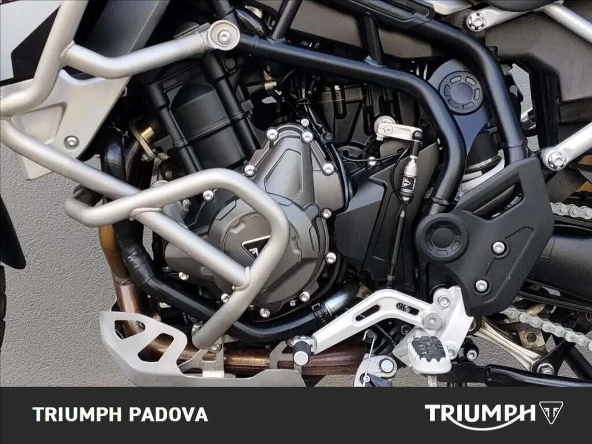 Triumph Tiger 900 Rally Pro (2020 - 23) (8)