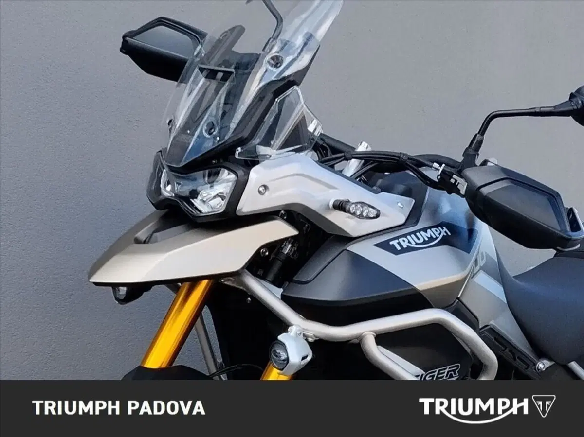 Triumph Tiger 900 Rally Pro (2020 - 23) (10)