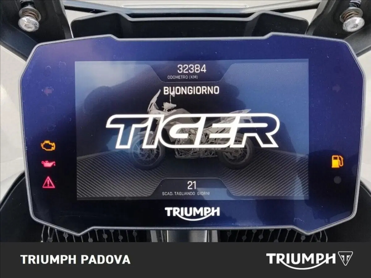 Triumph Tiger 900 Rally Pro (2020 - 23) (13)
