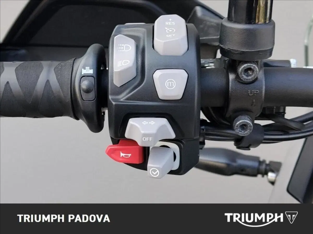 Triumph Tiger 900 Rally Pro (2020 - 23) (12)