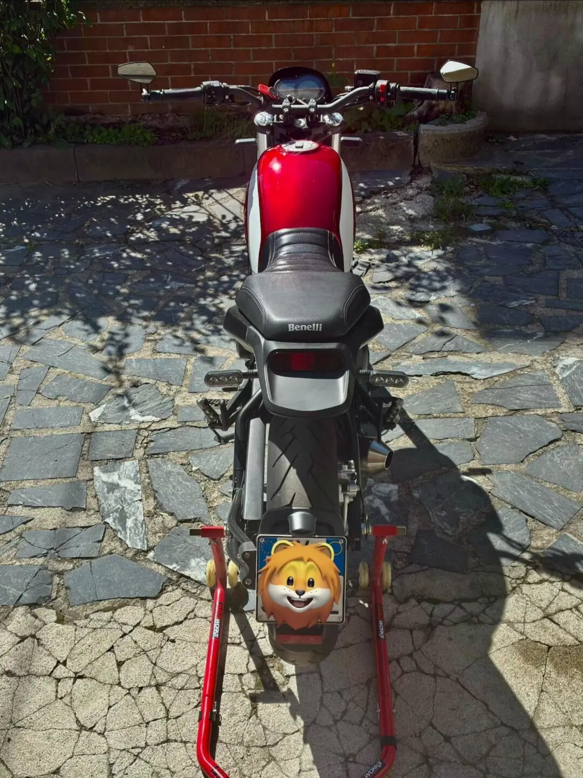 Benelli Leoncino 500 (2021 - 25) (5)