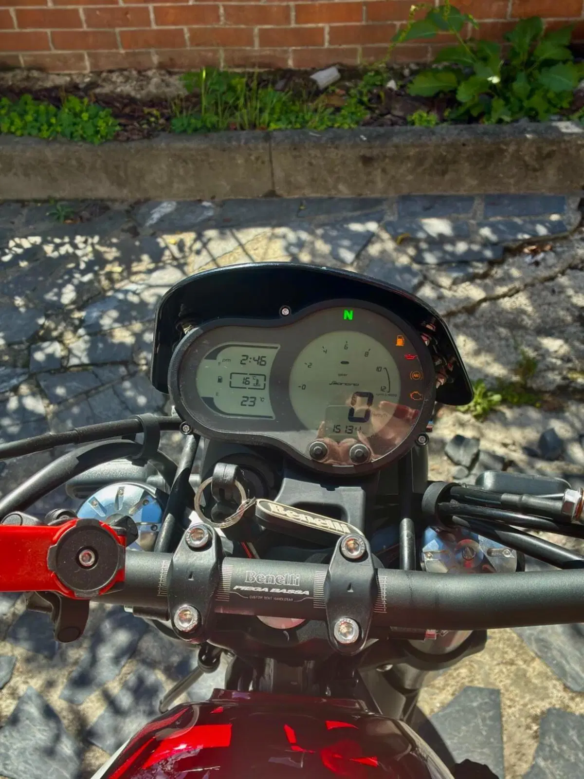 Benelli Leoncino 500 (2021 - 25) (7)