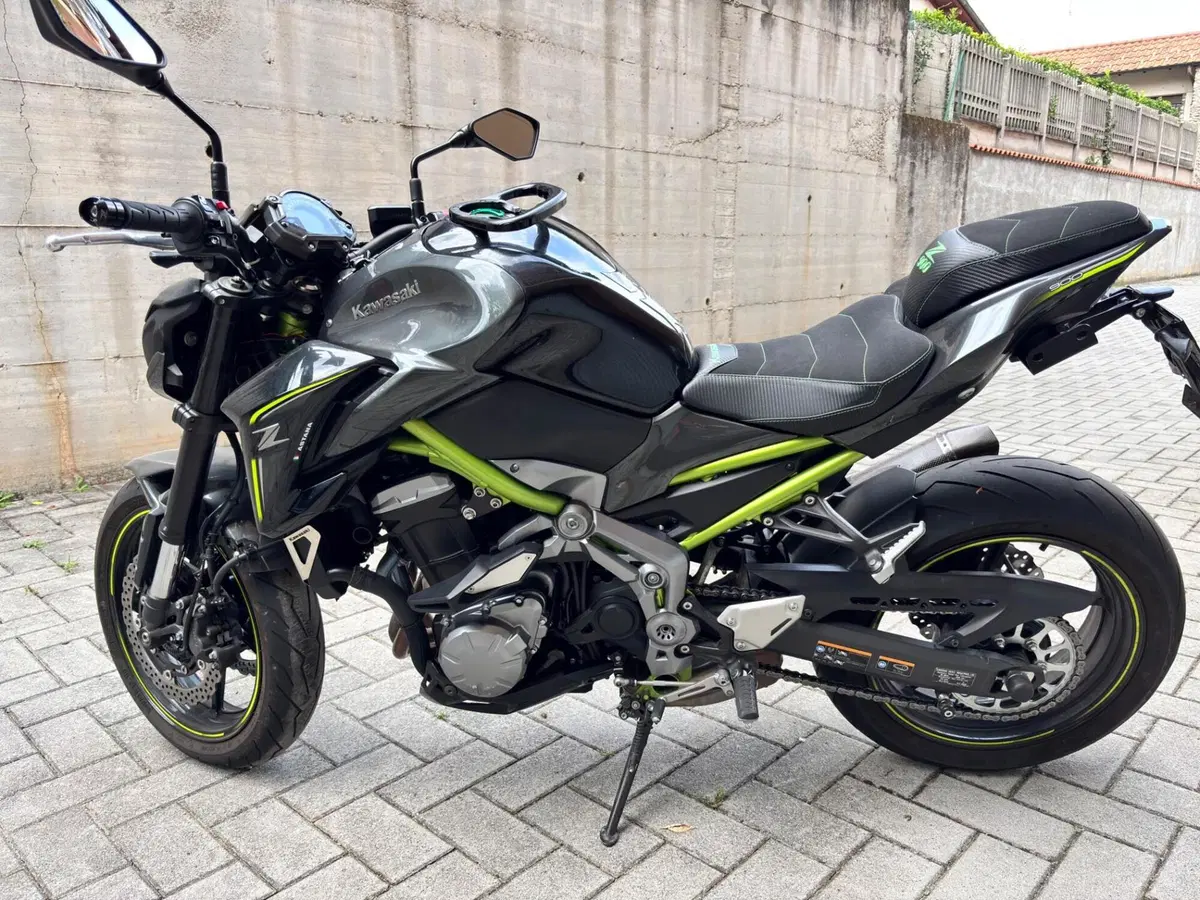 Kawasaki Z 900 Performance A2 (2019) (8)