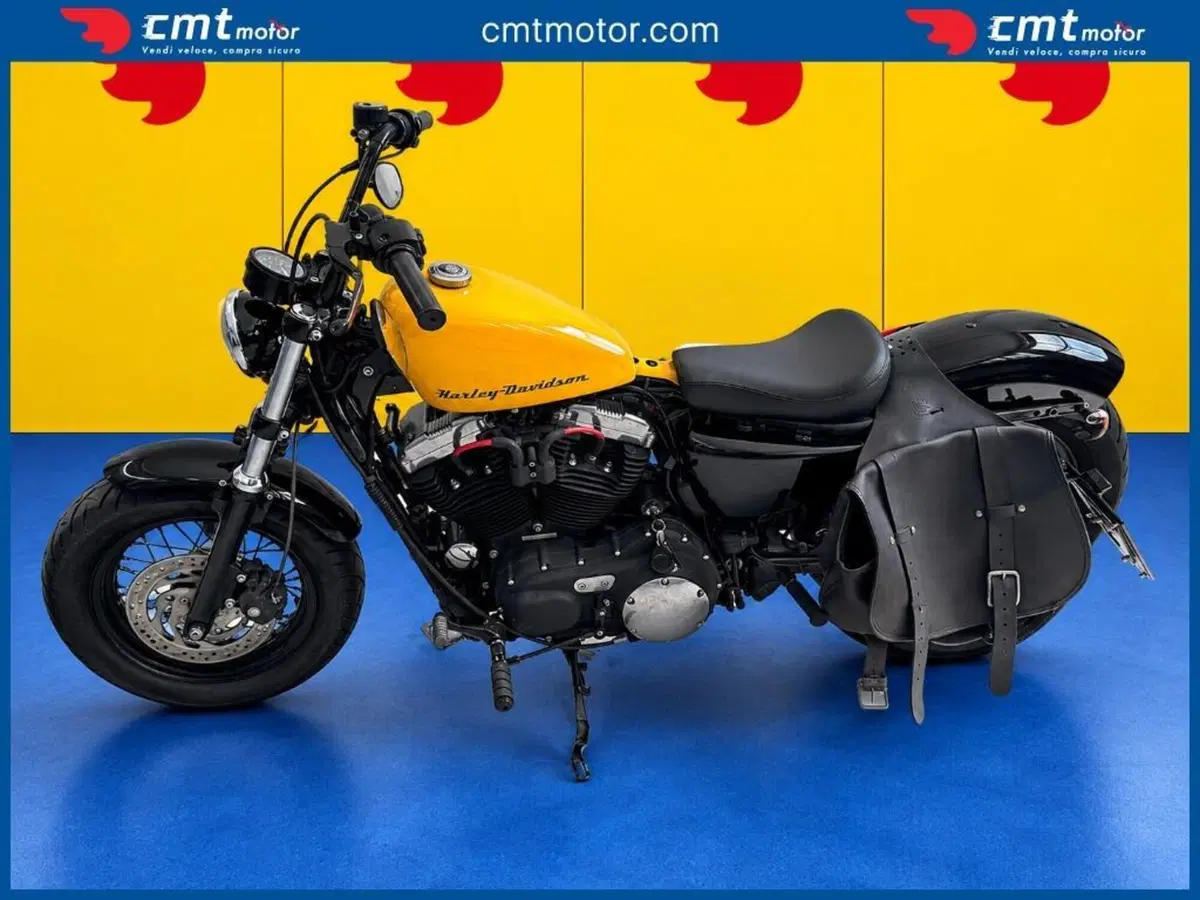 Harley-Davidson 1200 Forty-Eight (2010 - 15) (3)