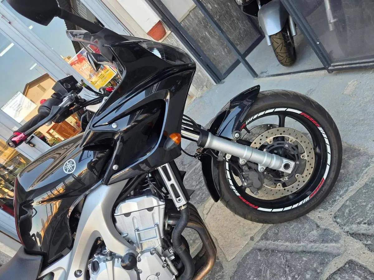 Yamaha FZ6 (2004 - 07) (14)