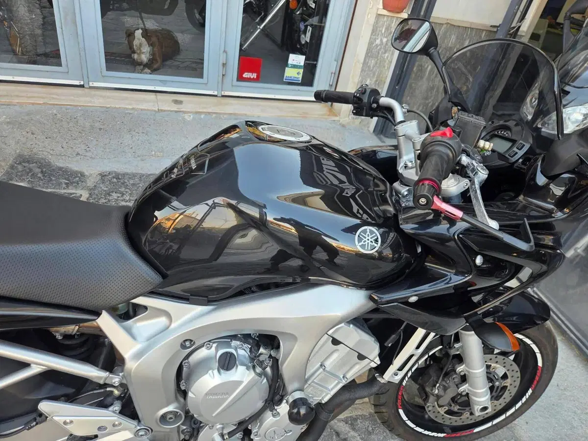 Yamaha FZ6 (2004 - 07) (7)