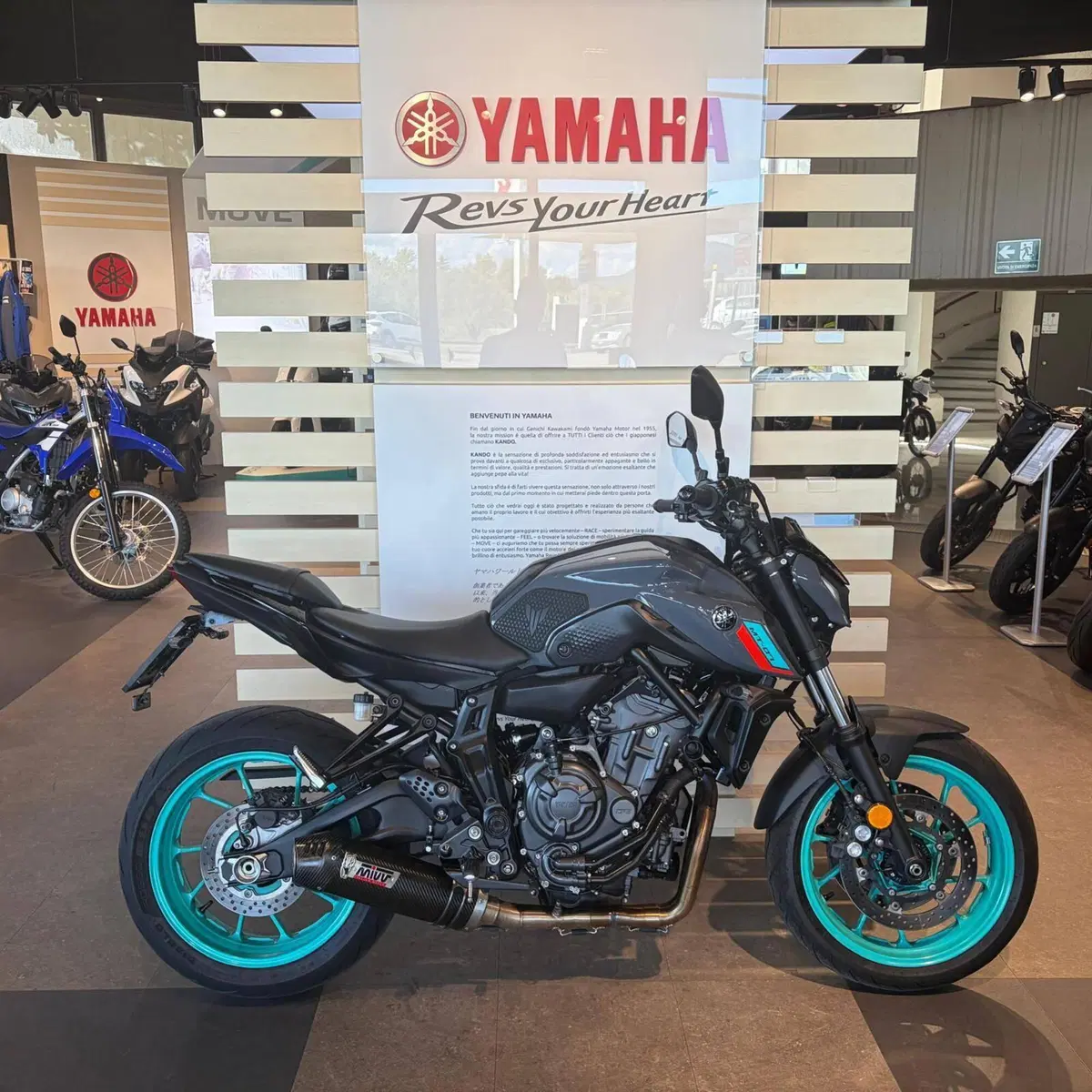 Yamaha MT-07 (2021 - 24)
