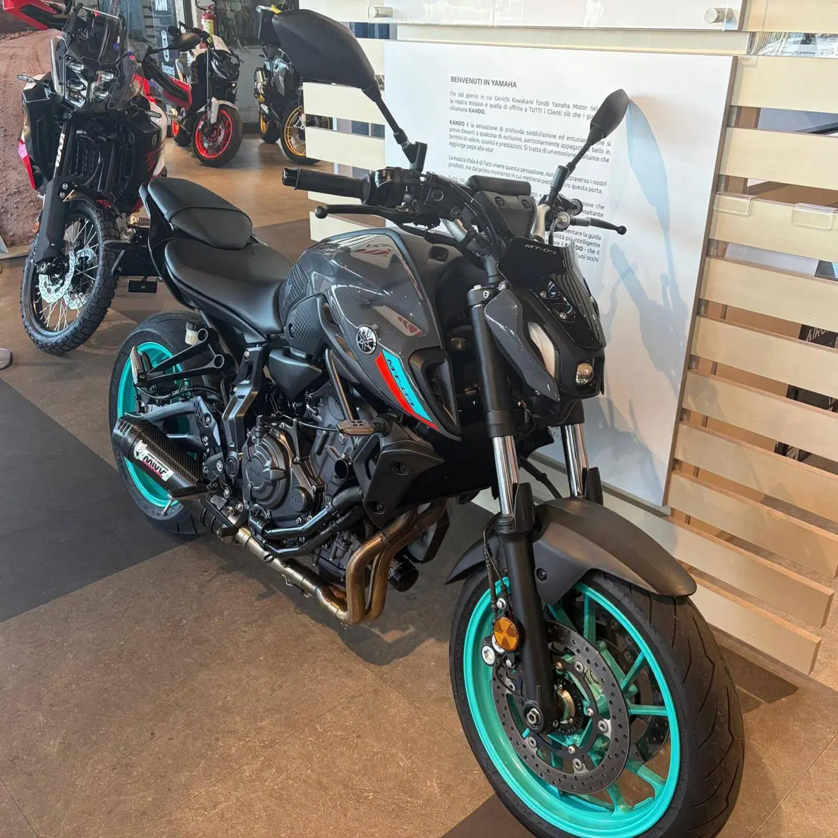 Yamaha MT-07 (2021 - 24) (6)