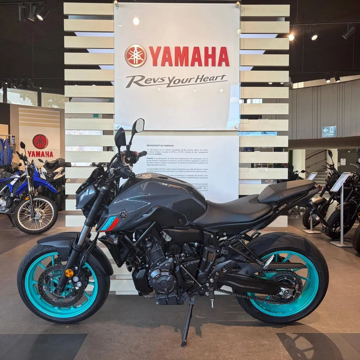 Yamaha MT-07 (2021 - 24) (8)