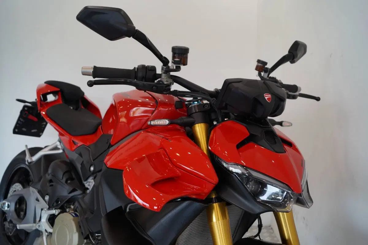 Ducati Streetfighter V4 S (2025 - 26) (11)