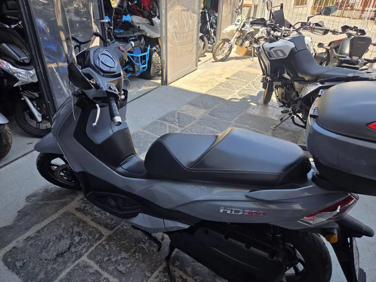 Sym HD 300 (2021 - 25) (7)