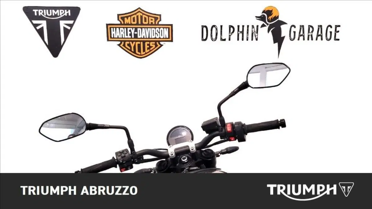 Triumph Trident 660 (2021 - 24) (13)