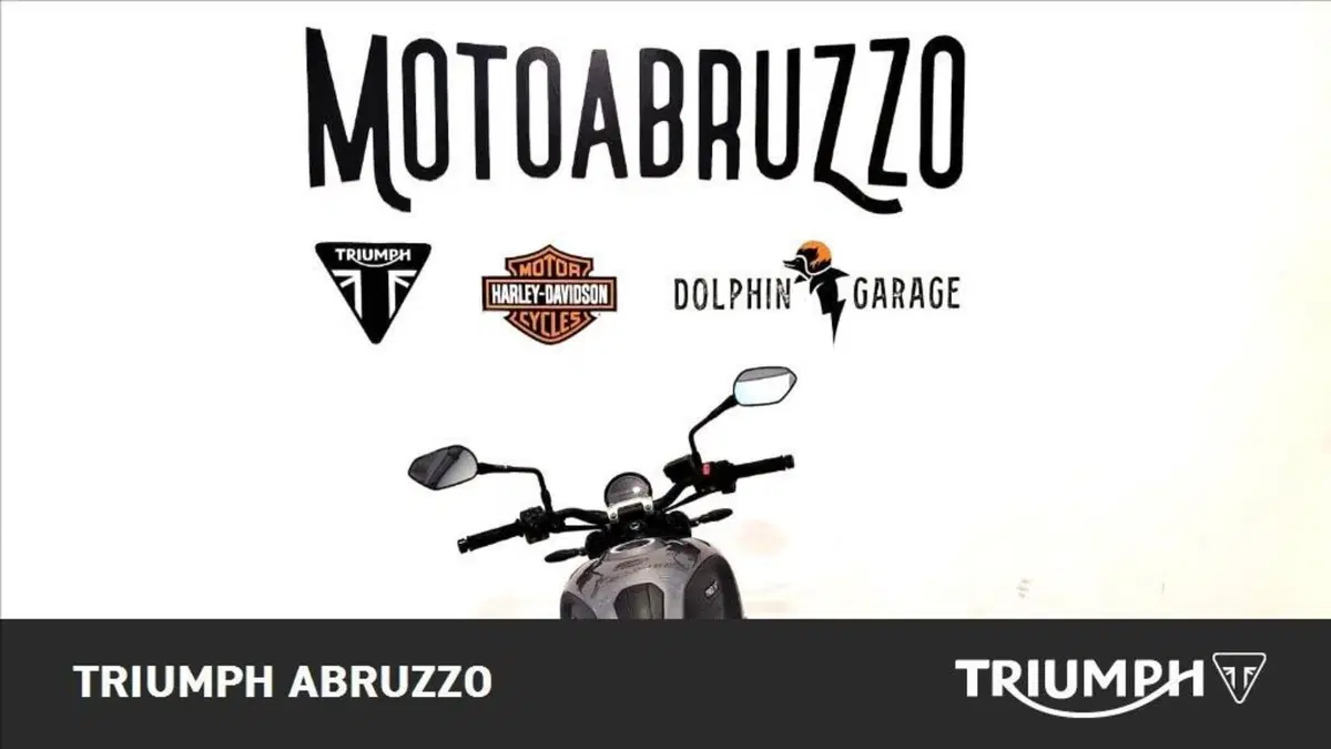 Triumph Trident 660 (2021 - 24) (12)