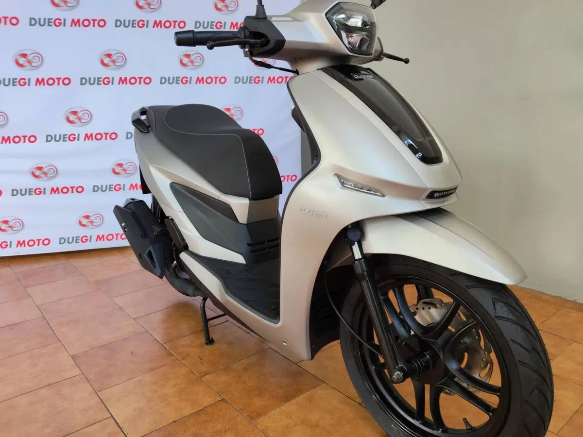 Um Italia Wynwood 125 (2025 - 26) (3)