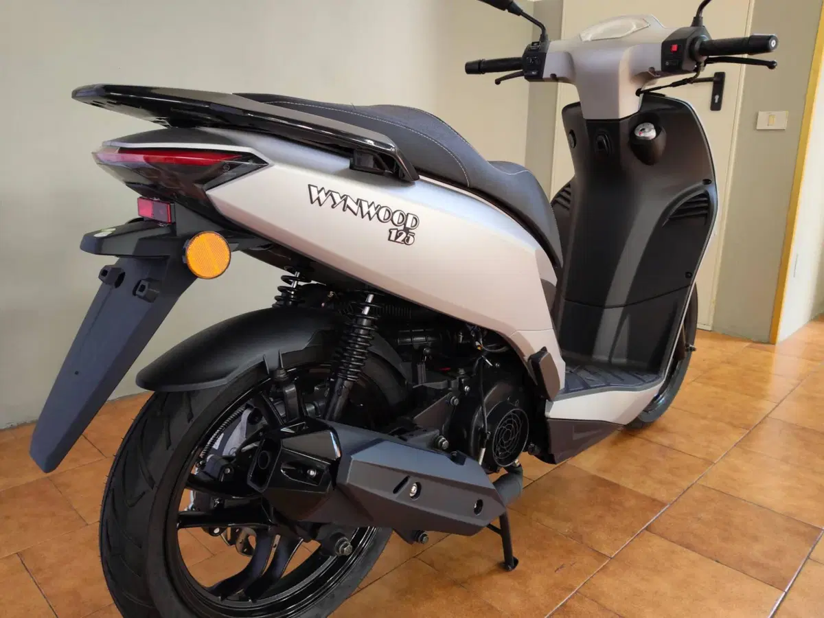 Um Italia Wynwood 125 (2025 - 26) (4)